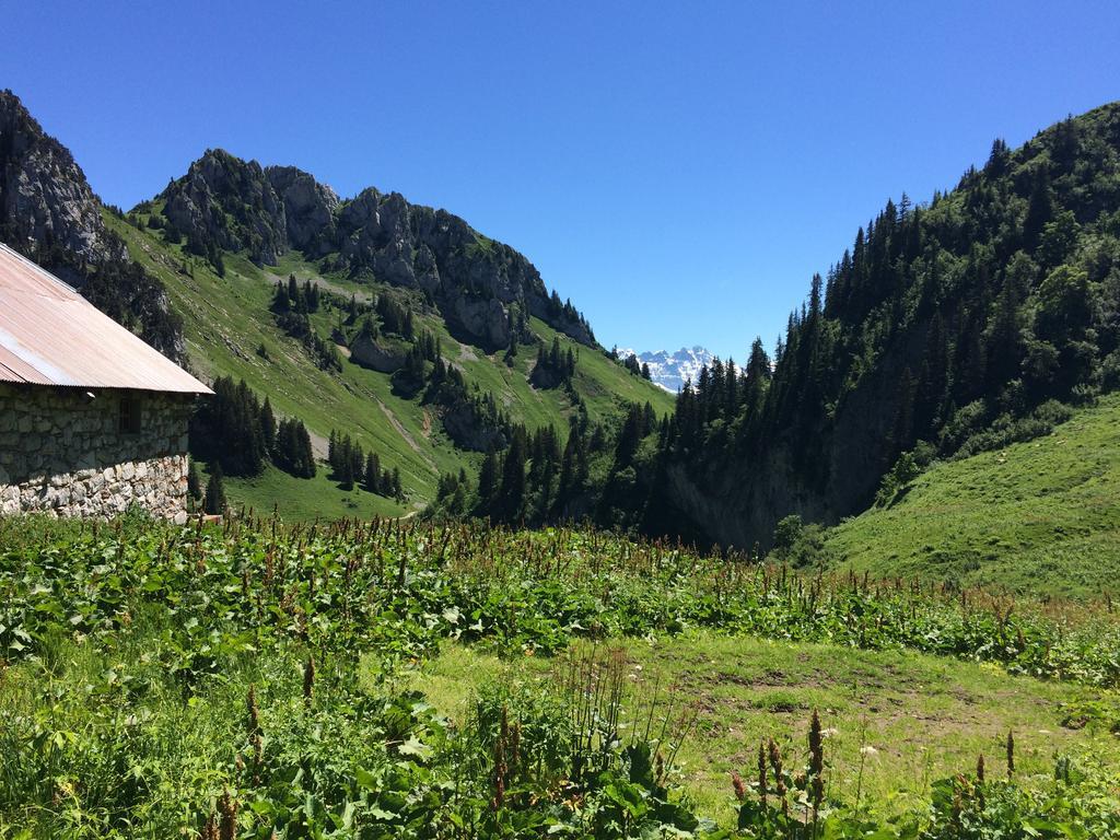 Les Balcons Du Leman Bed & Breakfast Thollon-les-Memises Exterior photo