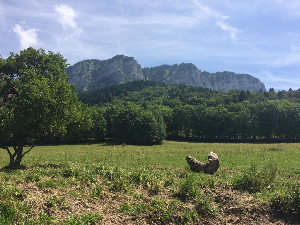 Les Balcons Du Leman Bed & Breakfast Thollon-les-Memises Exterior photo